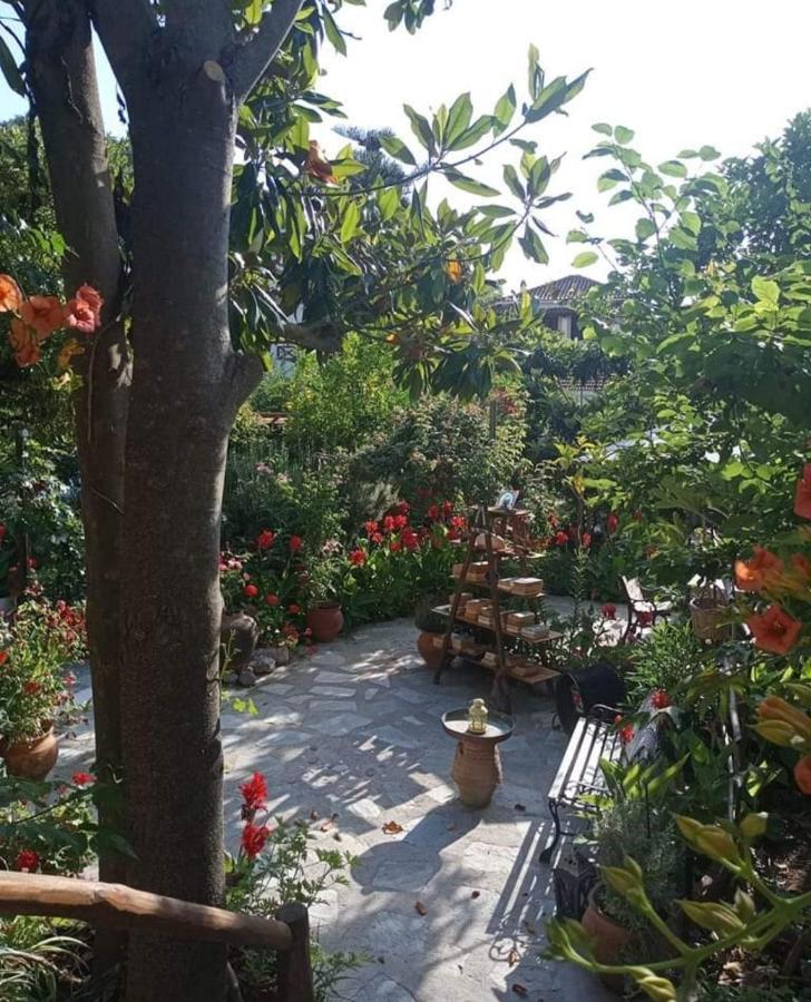 Stamatia'S Garden Hotel Agnontas ภายนอก รูปภาพ