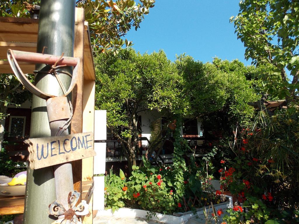 Stamatia'S Garden Hotel Agnontas ภายนอก รูปภาพ