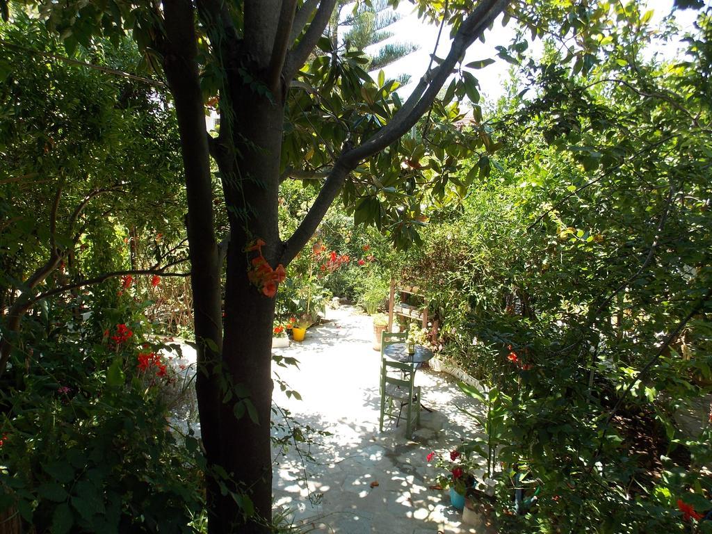 Stamatia'S Garden Hotel Agnontas ภายนอก รูปภาพ
