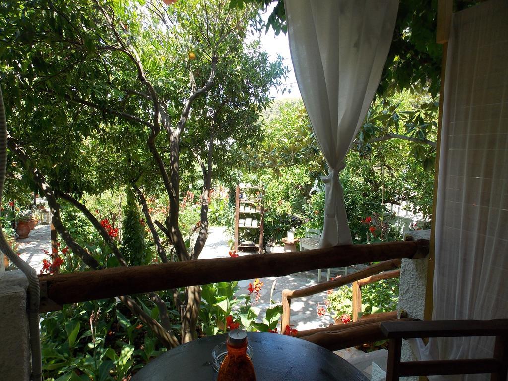 Stamatia'S Garden Hotel Agnontas ภายนอก รูปภาพ