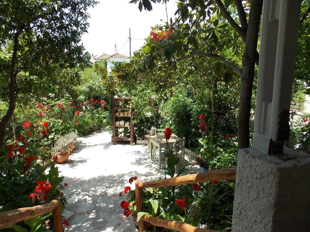 Stamatia'S Garden Hotel Agnontas ภายนอก รูปภาพ