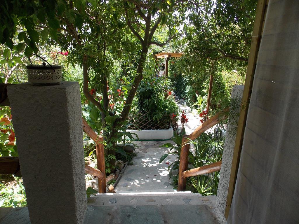Stamatia'S Garden Hotel Agnontas ภายนอก รูปภาพ
