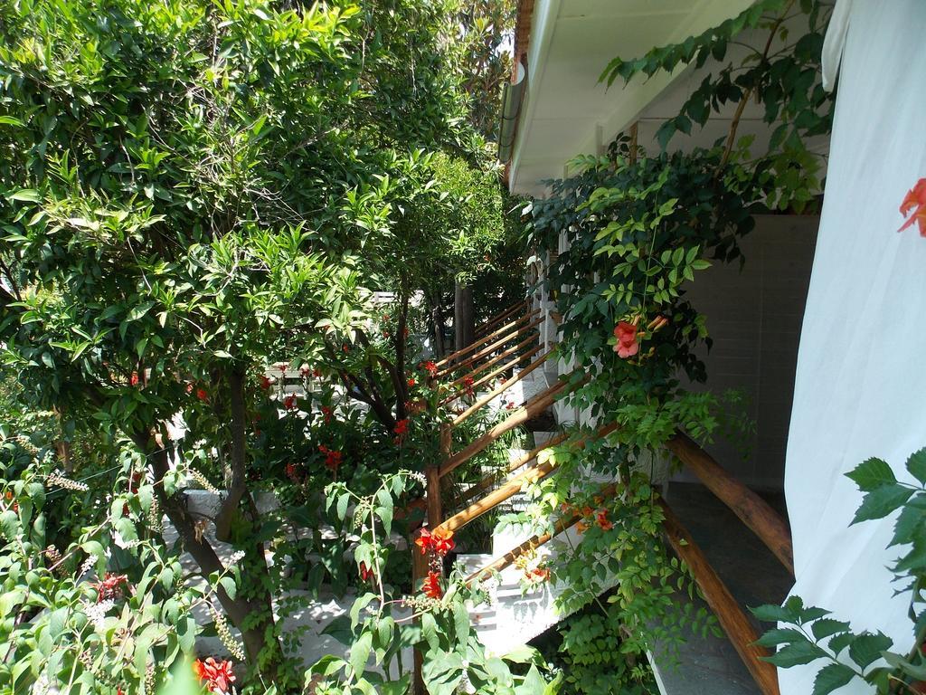 Stamatia'S Garden Hotel Agnontas ภายนอก รูปภาพ