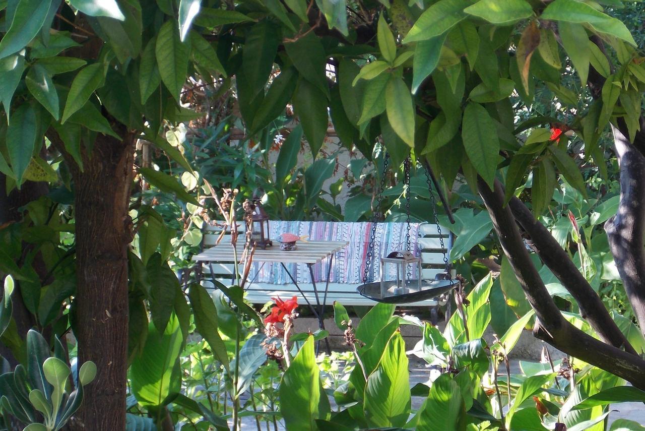 Stamatia'S Garden Hotel Agnontas ภายนอก รูปภาพ