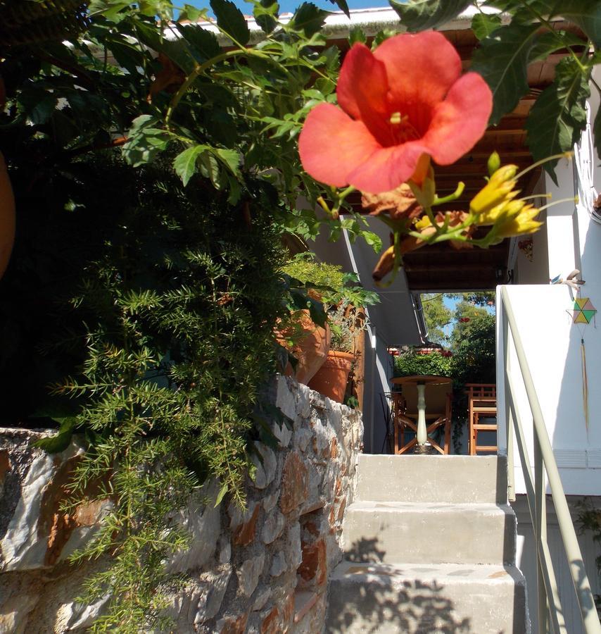 Stamatia'S Garden Hotel Agnontas ภายนอก รูปภาพ