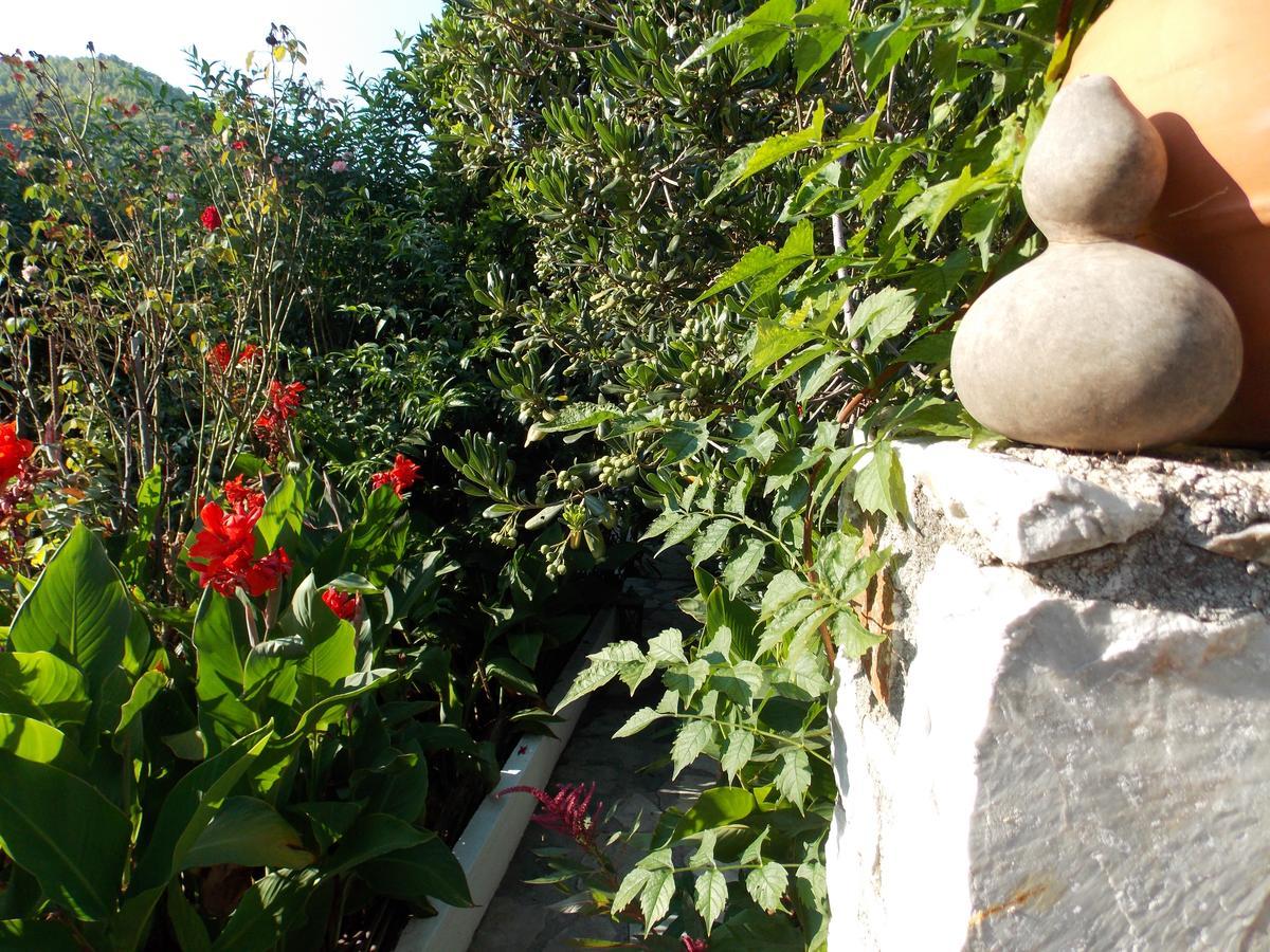 Stamatia'S Garden Hotel Agnontas ภายนอก รูปภาพ
