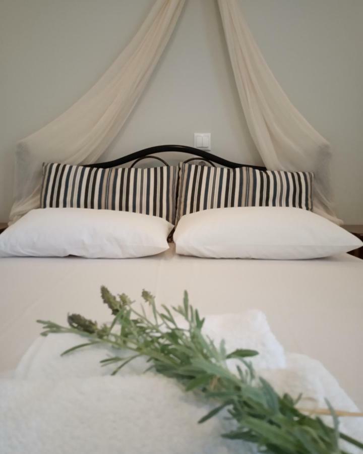 Stamatia'S Garden Hotel Agnontas ภายนอก รูปภาพ