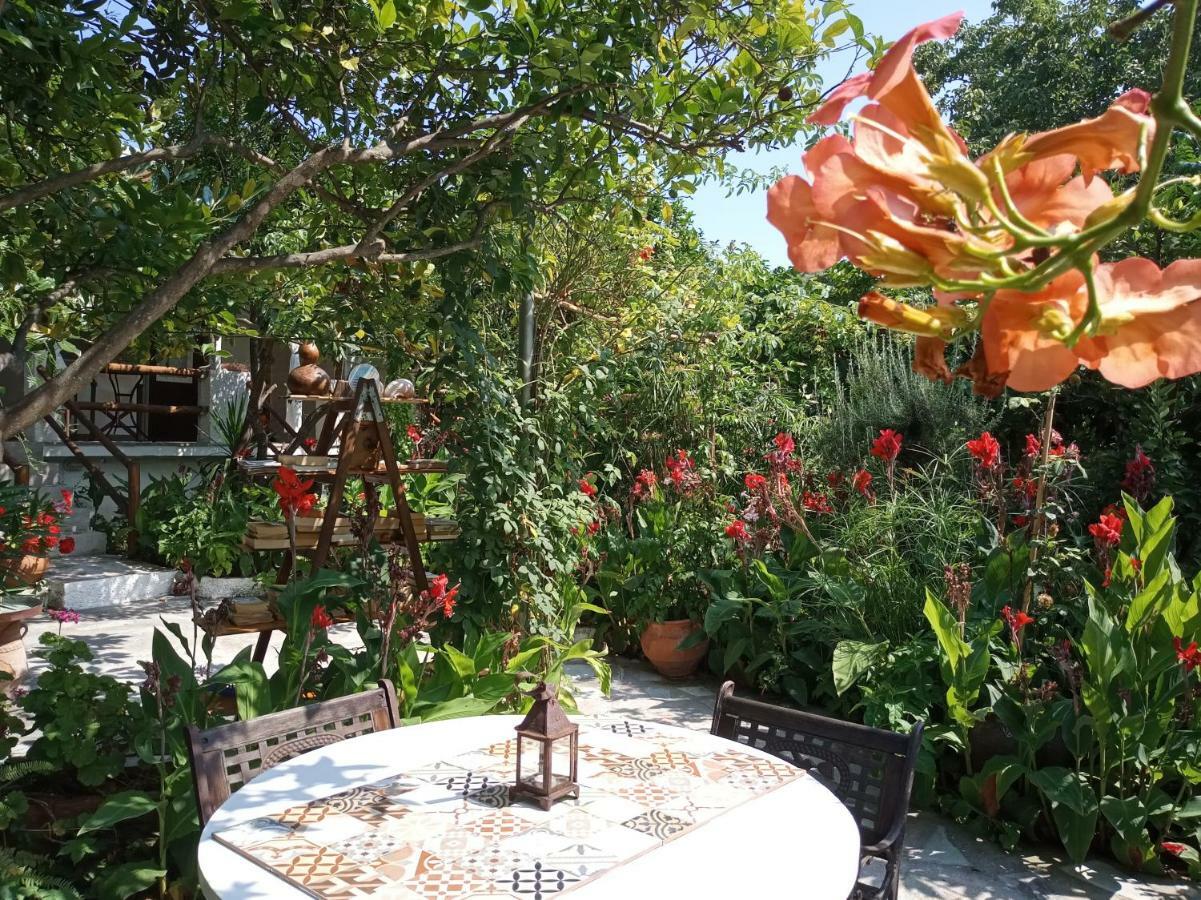 Stamatia'S Garden Hotel Agnontas ภายนอก รูปภาพ