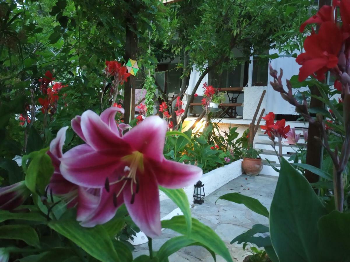 Stamatia'S Garden Hotel Agnontas ภายนอก รูปภาพ