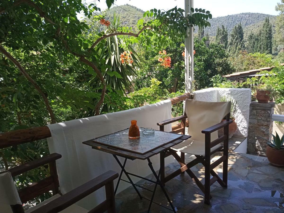 Stamatia'S Garden Hotel Agnontas ภายนอก รูปภาพ