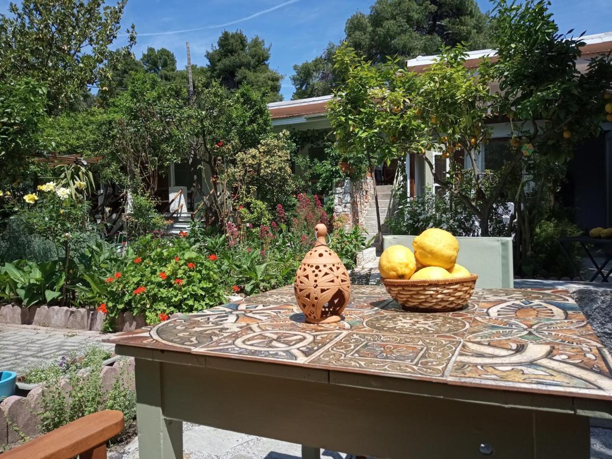 Stamatia'S Garden Hotel Agnontas ภายนอก รูปภาพ
