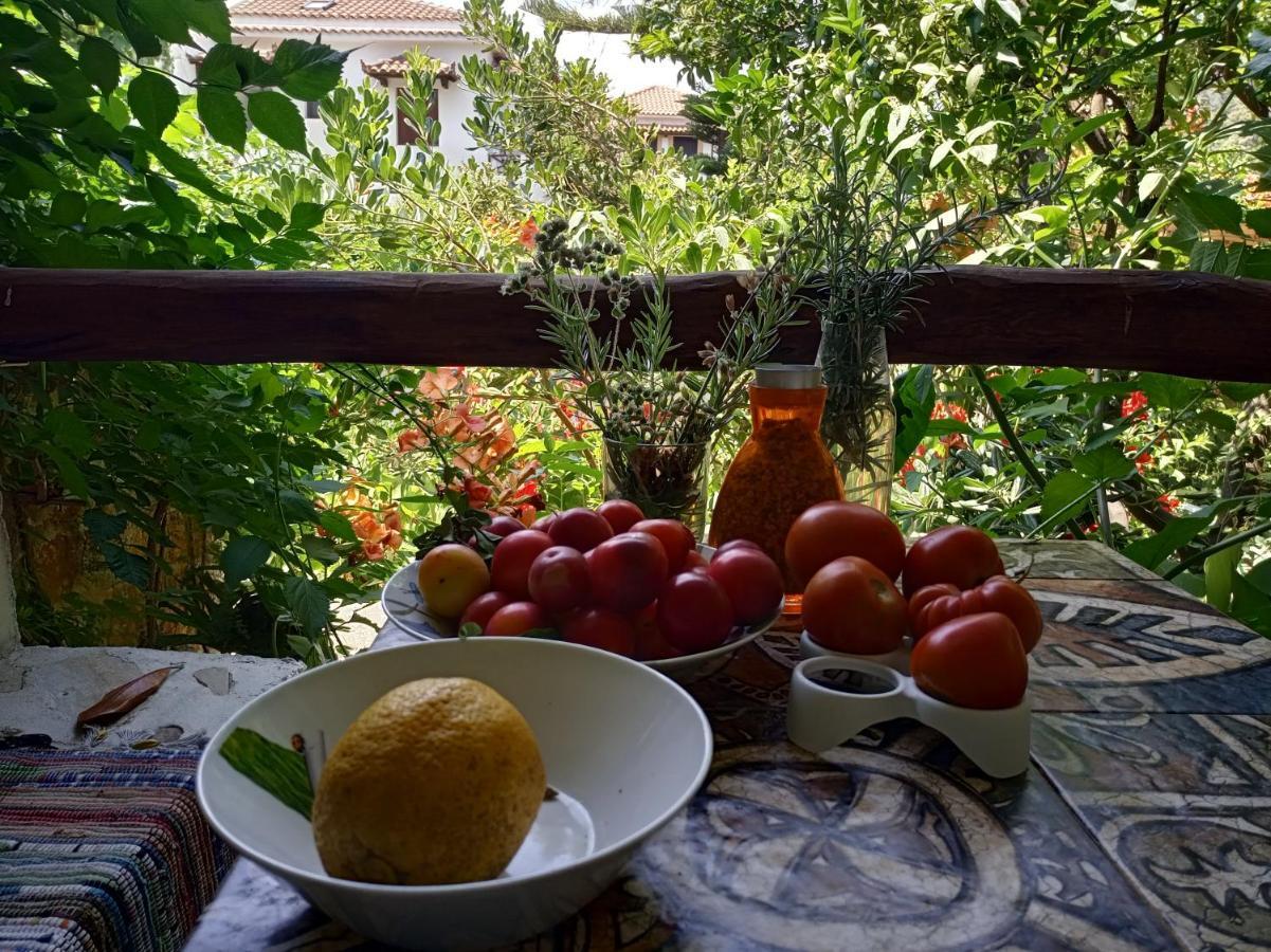 Stamatia'S Garden Hotel Agnontas ภายนอก รูปภาพ
